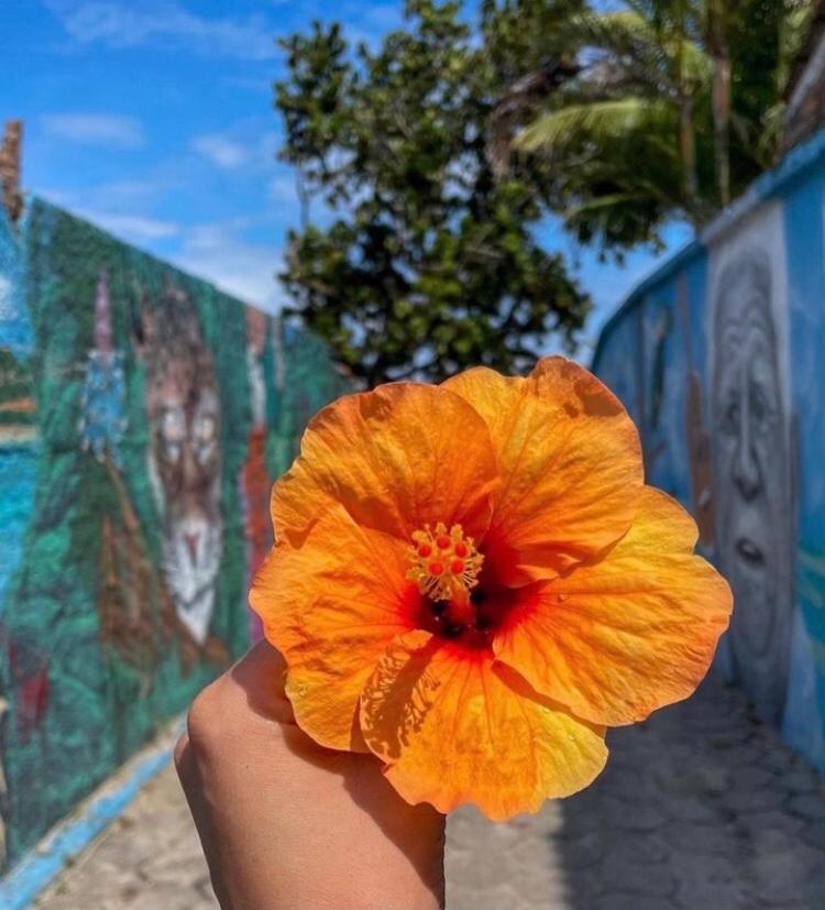Casa De Condominio Em Maresias - Pertinho Da Praia المظهر الخارجي الصورة
